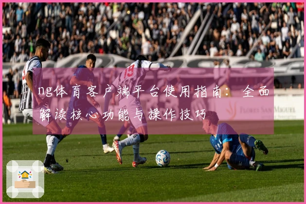 ng体育客户端平台使用指南：全面解读核心功能与操作技巧