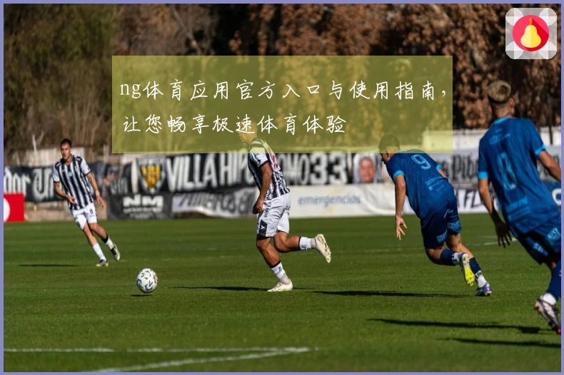 ng体育应用官方入口与使用指南,让您畅享极速体育体验
