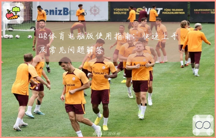 ng体育电脑版使用指南：快速上手及常见问题解答