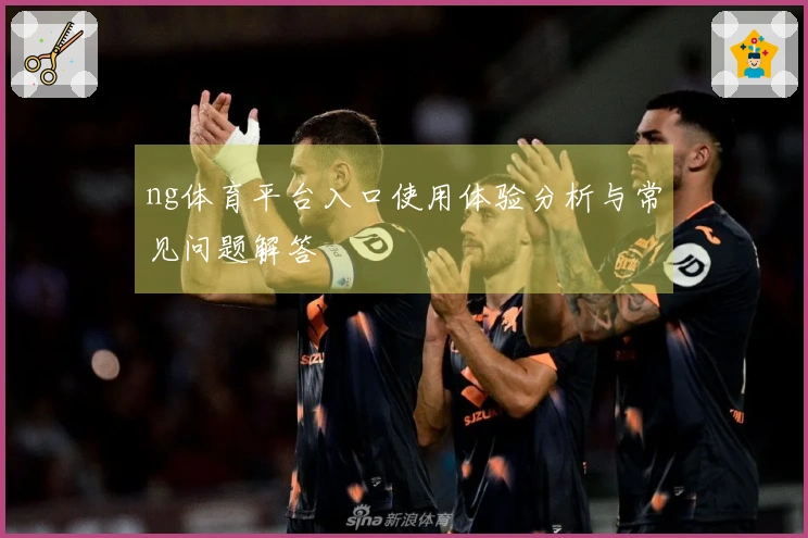 ng体育平台入口使用体验分析与常见问题解答