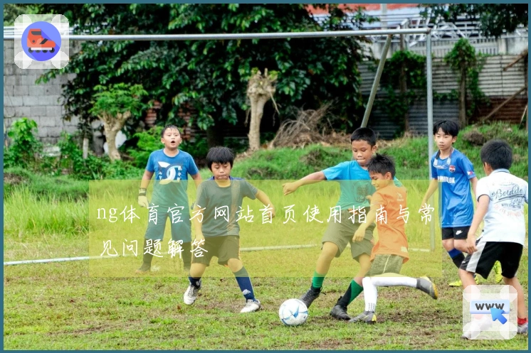 ng体育官方网站首页使用指南与常见问题解答