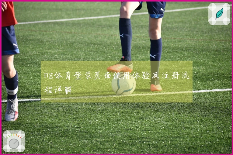 ng体育登录页面使用体验及注册流程详解