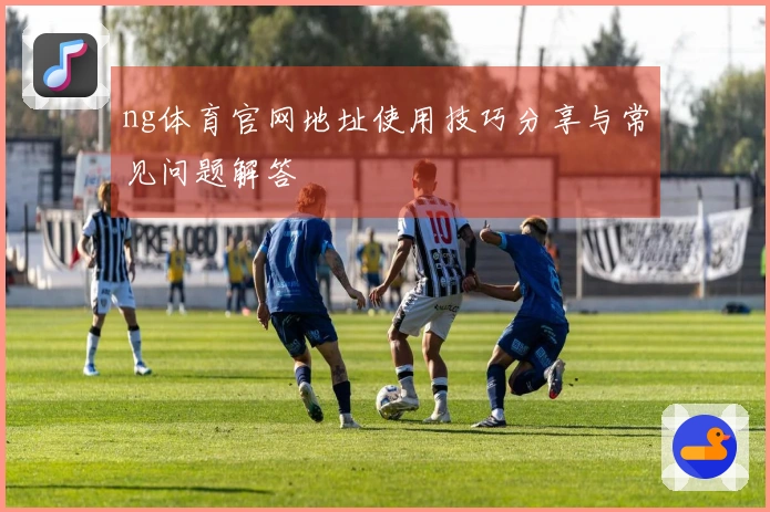 ng体育官网地址使用技巧分享与常见问题解答