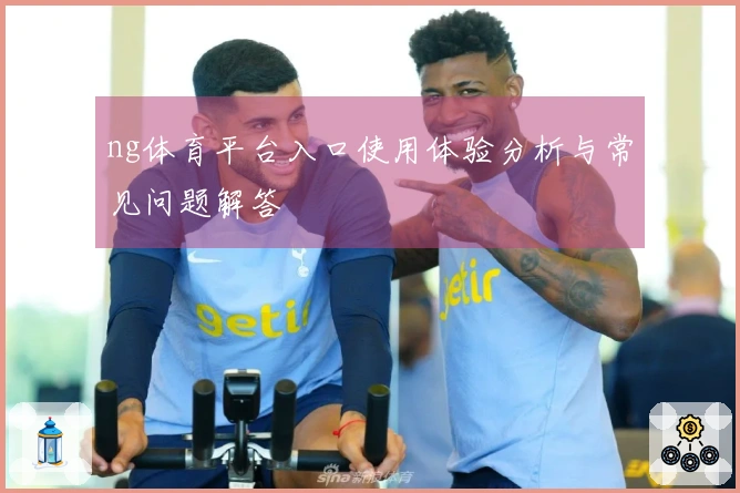 ng体育平台入口使用体验分析与常见问题解答