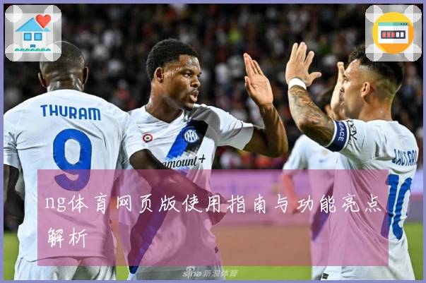 ng体育网页版使用指南与功能亮点解析