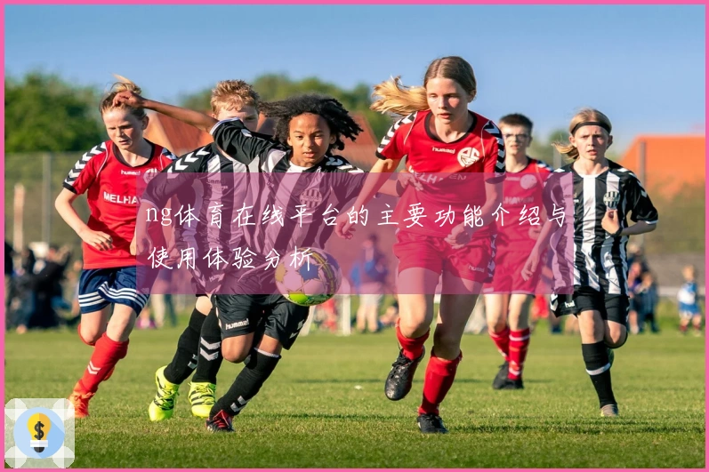 ng体育在线平台的主要功能介绍与使用体验分析